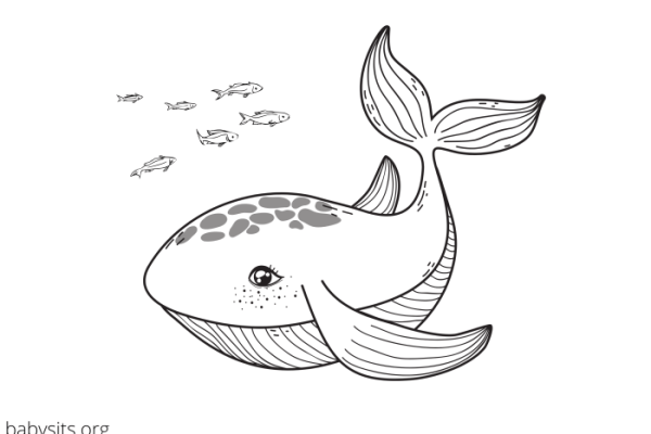 Underwater animals coloring pages