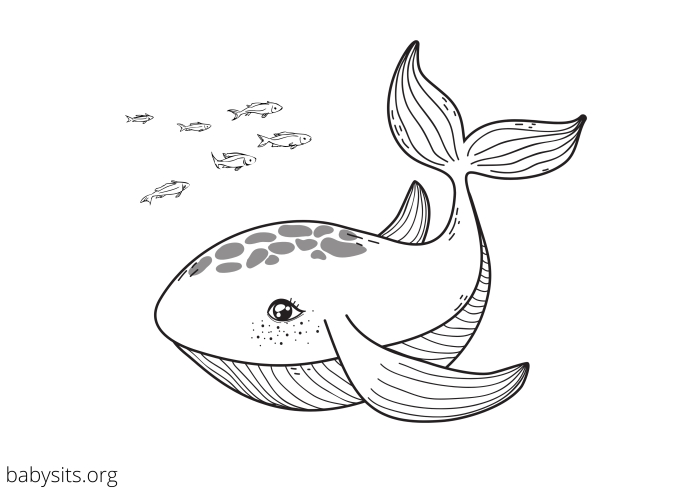 Underwater animals coloring pages