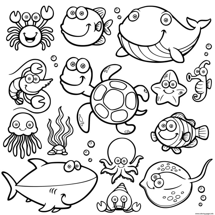 Ocean animals coloring pages