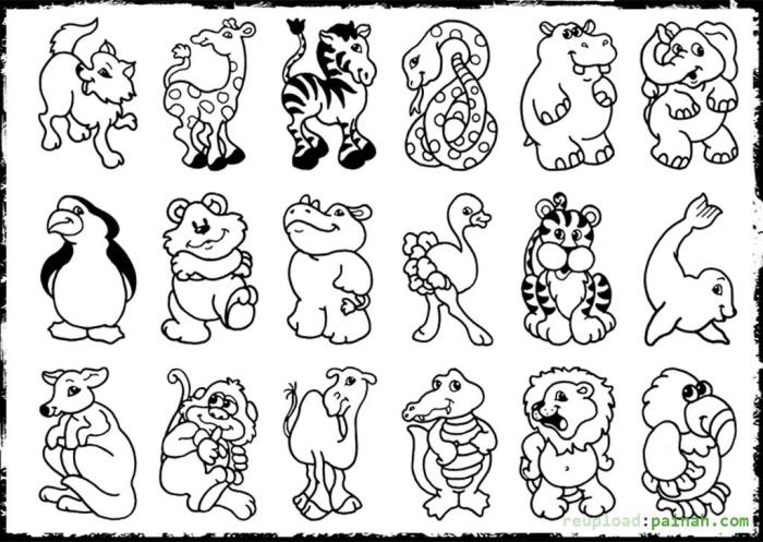 Woodland animal coloring pages