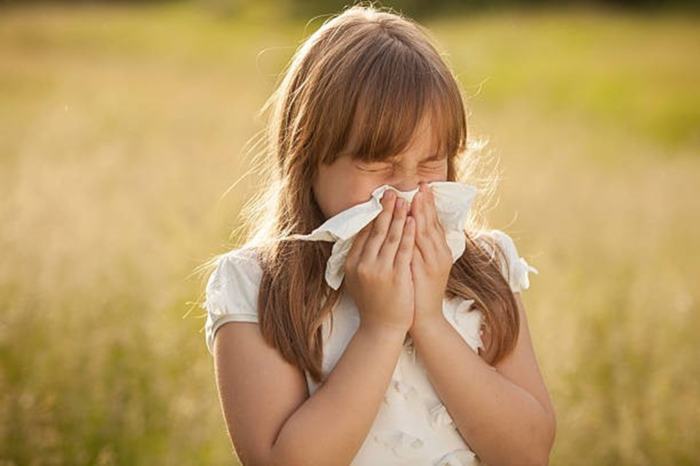 Ernährung bei kindern mit heuschnupfen