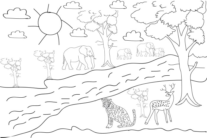 Forest with animals coloring pages