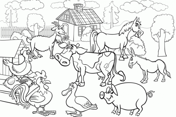 Coloring pages of farm animals