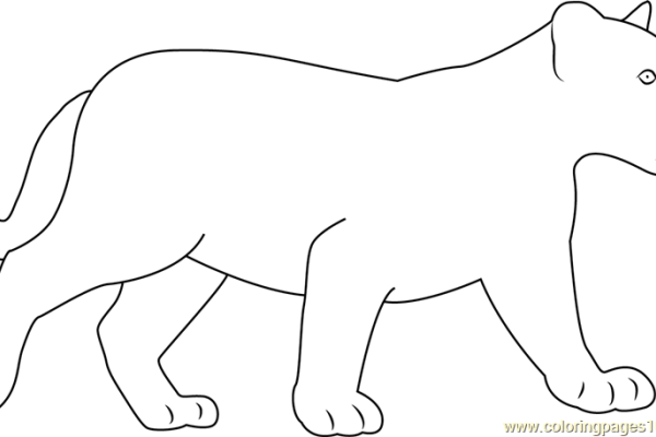 Black panther animal coloring pages