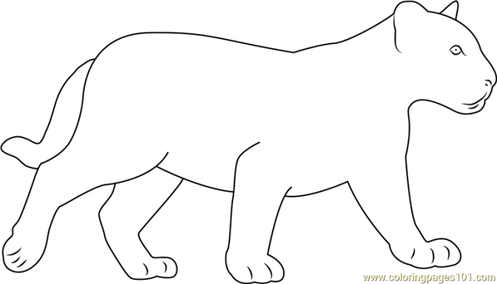 Black panther animal coloring pages