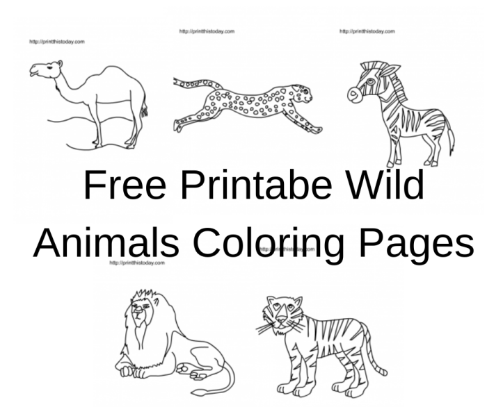 Wild animal coloring pages printable