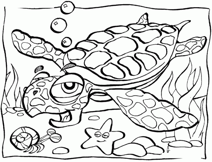 Ocean animals coloring pages