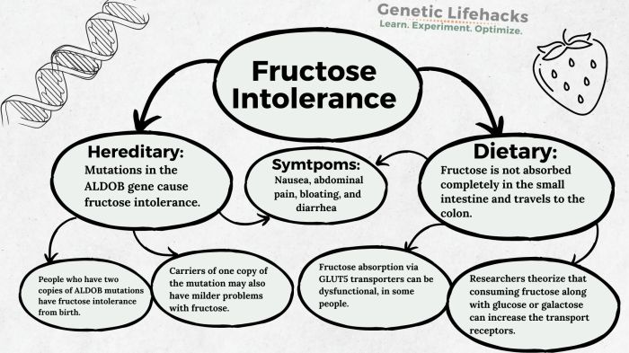 Fructoseintoleranz bei kindern ernährung