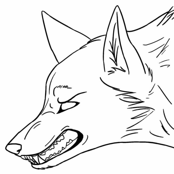 Anime coloring pages wolf