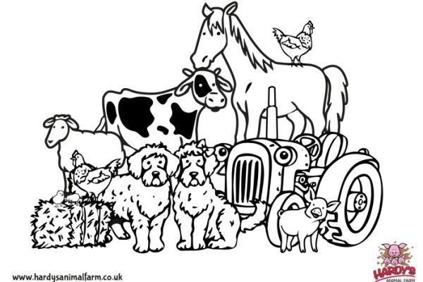 Kindergarten farm animals coloring pages