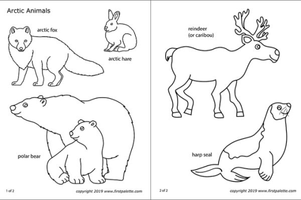 Arctic animals coloring pages