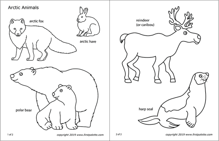 Arctic animals coloring pages