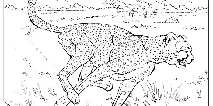 Realistic animal coloring sheets