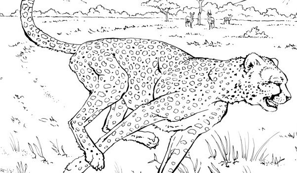 Realistic coloring pictures of animals