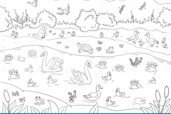 Summer animal coloring pages