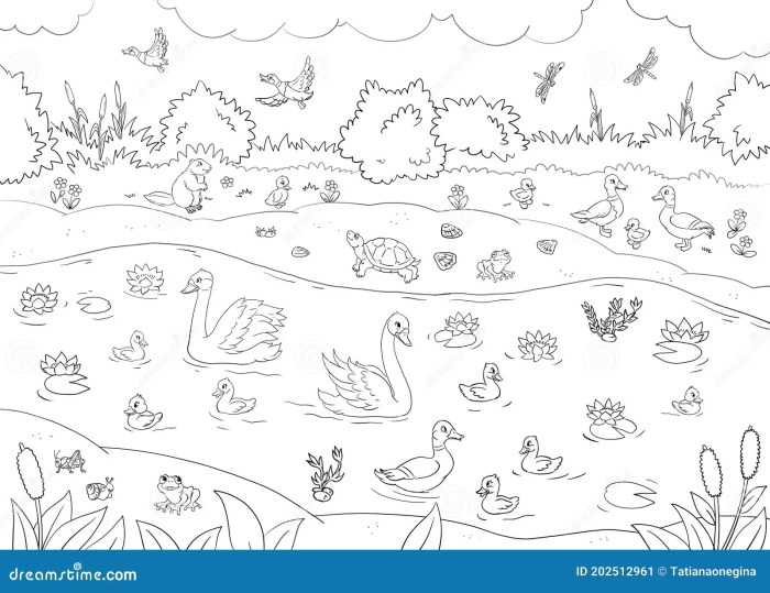 Summer animal coloring pages