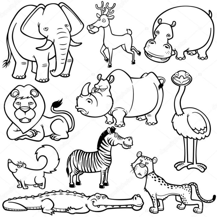 Wild animal coloring pages printable