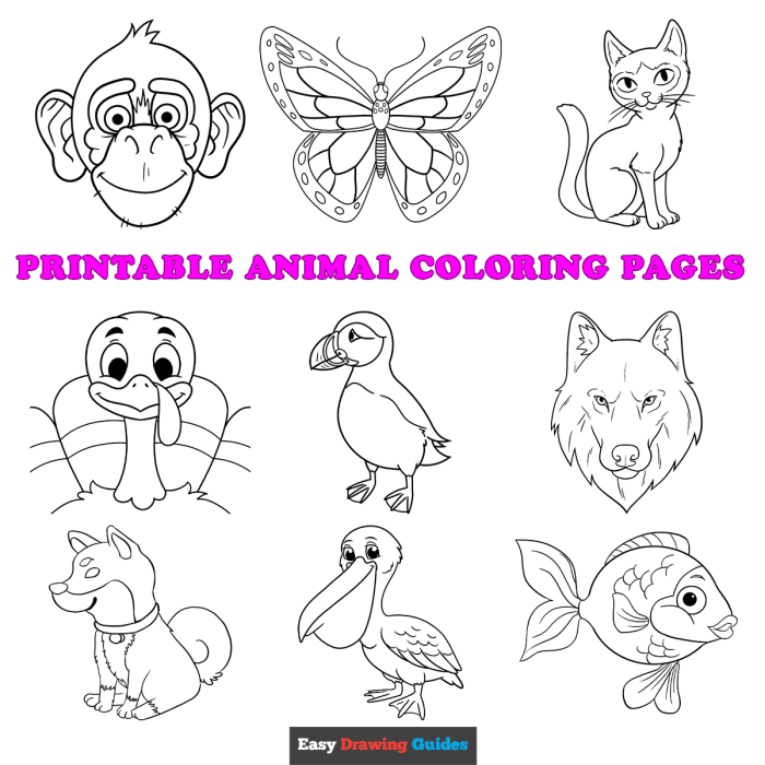 Baby animal coloring pages