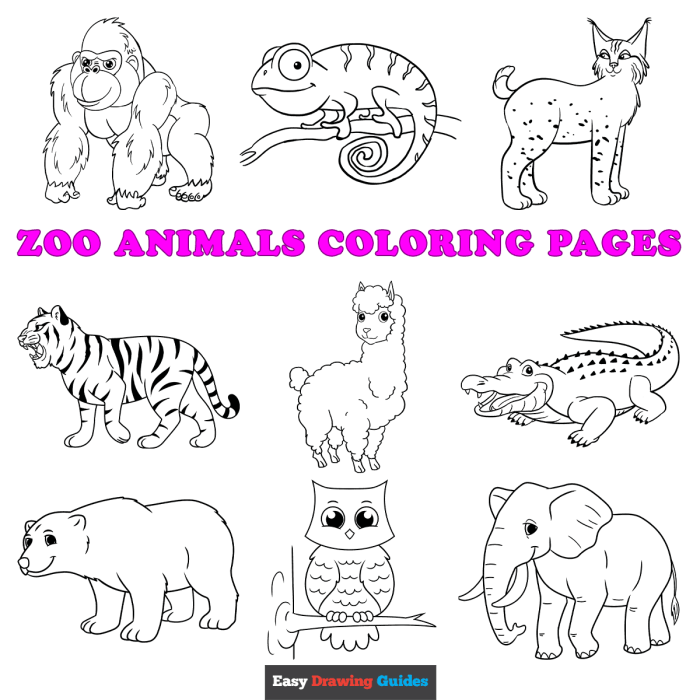 Realistic coloring pictures of animals