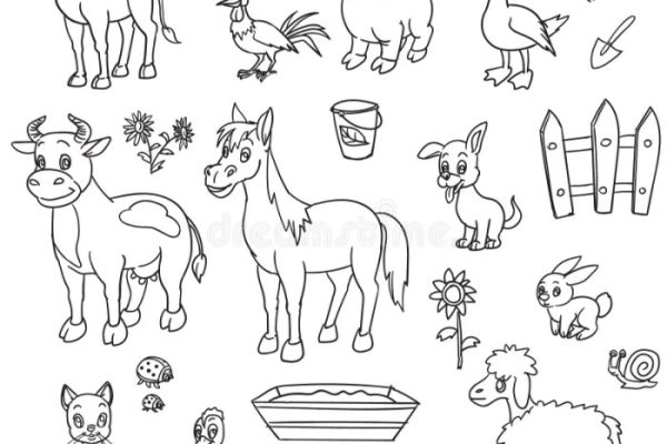 Farm animal coloring book