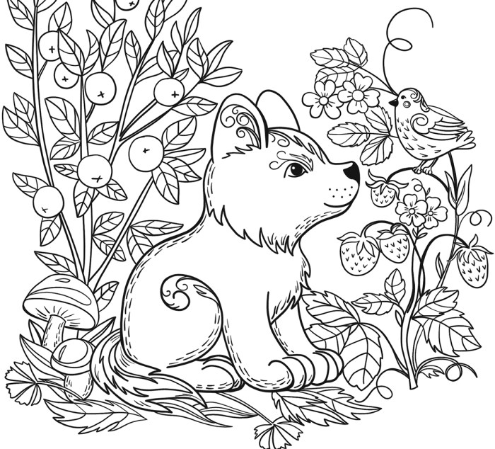 Coloring pages wild animals