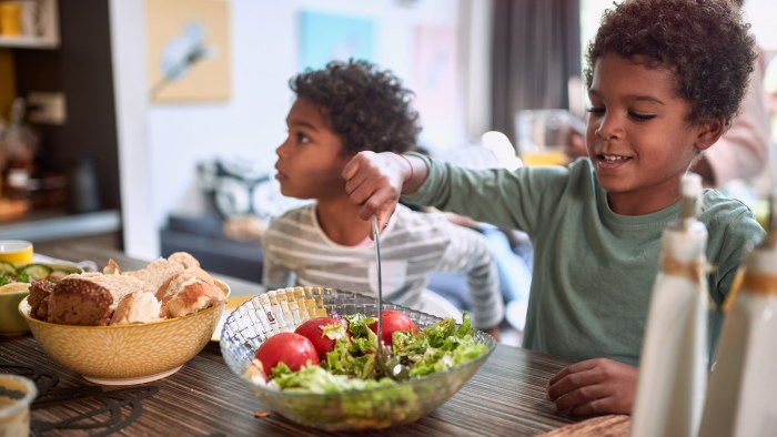 Dge vegetarische ernährung kinder