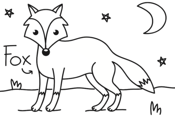 Nocturnal animals coloring pages