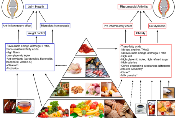 Rheumatoid artritis nutrisi apa boleh