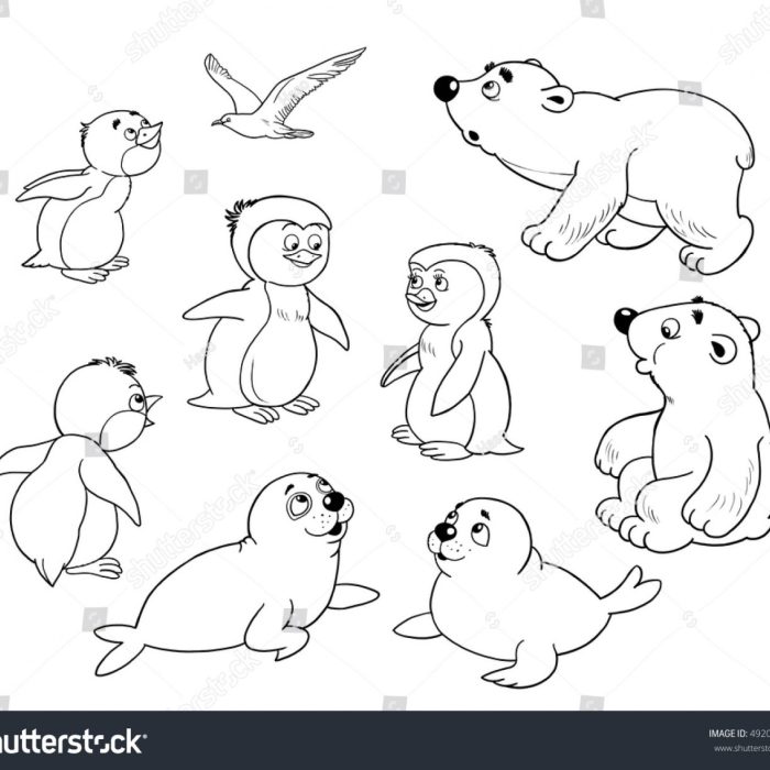 Coloring arctic animals pages printable popular