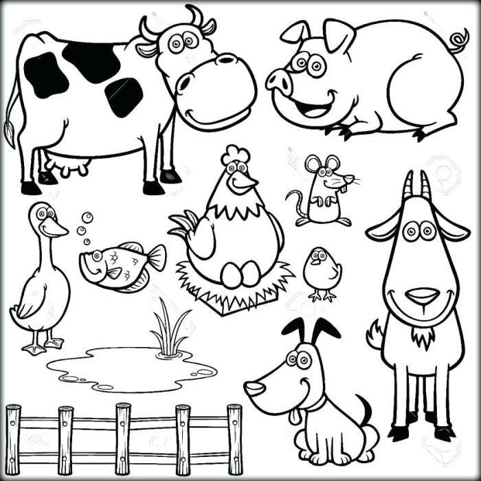 Preschool animal coloring sheets