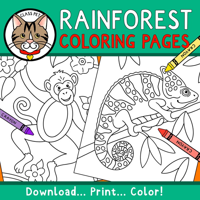 Rainforest animals coloring pages