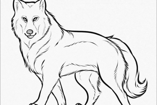 Wolf anime coloring pages