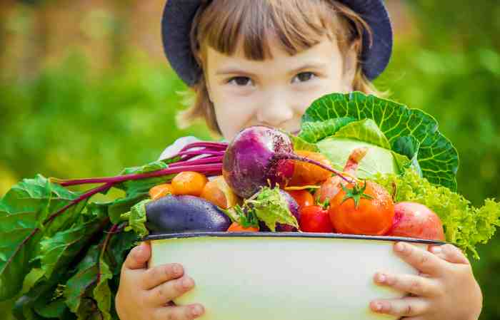 Healthy kids eat food eating plate habits foods good children choose unhealthy planner health child teaching dont recipes choices weight