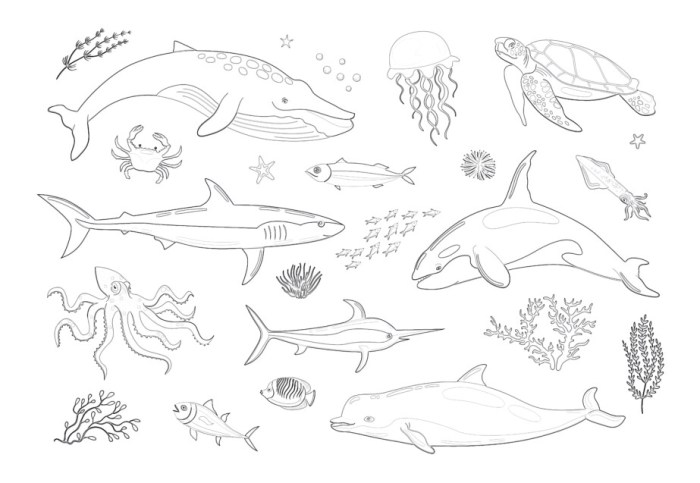 Marine animals coloring pages