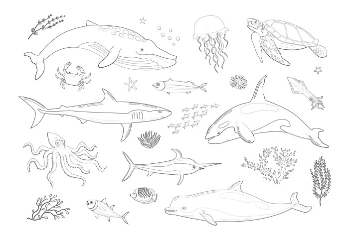 Marine animals coloring pages