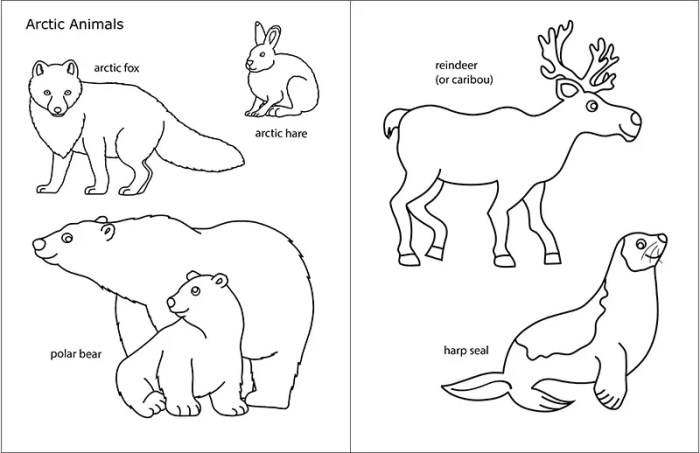 Winter animal coloring pages